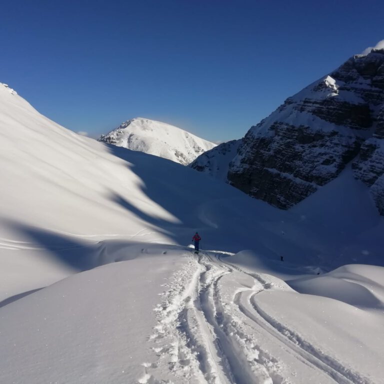 WhatsApp Image 2021-12-03 at 21.17.13 (2)