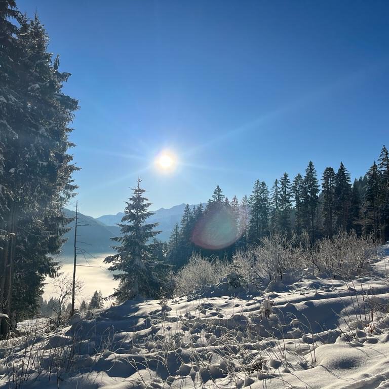 WhatsApp Image 2023-01-25 at 18.23.33